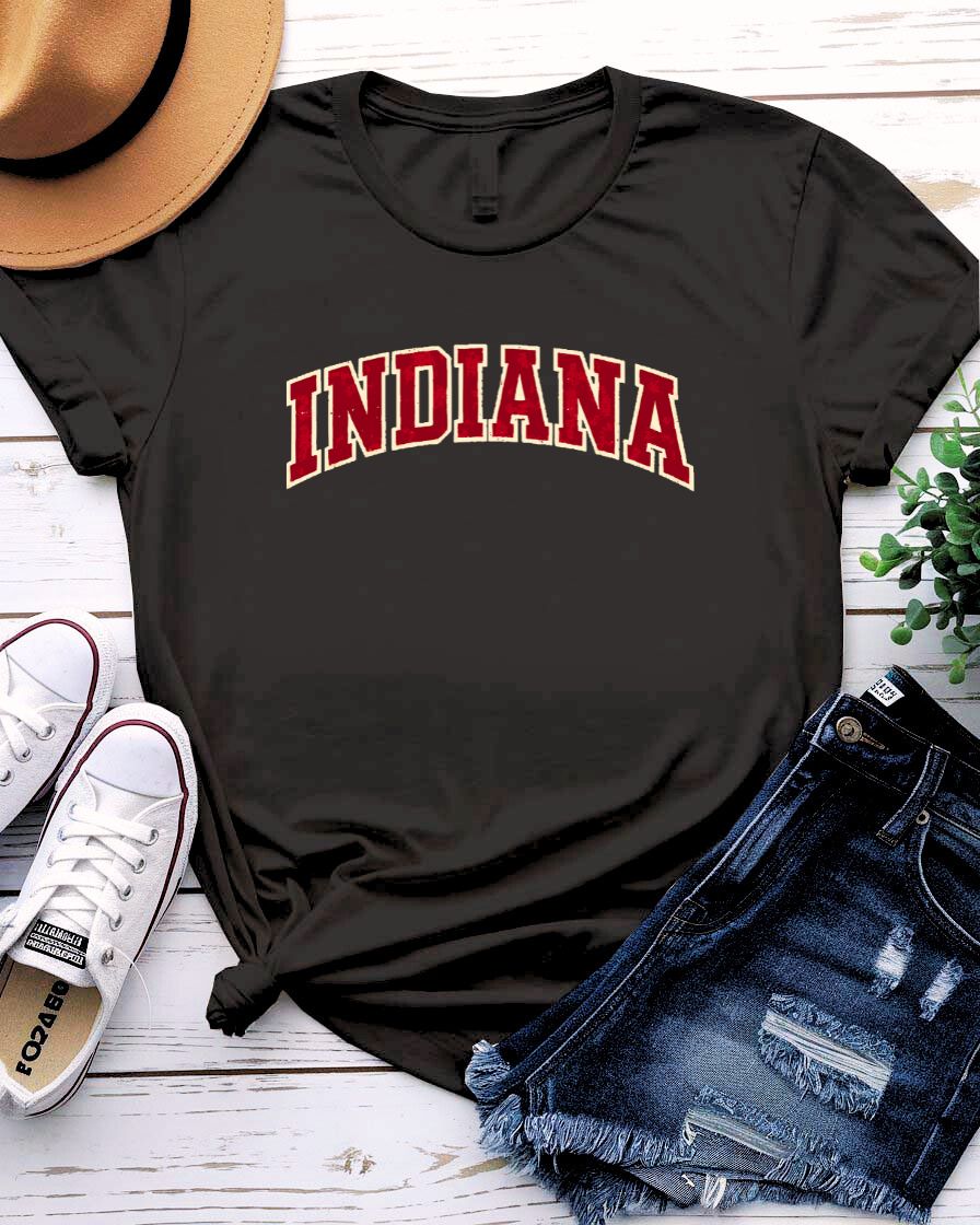 Minimalist Indiana State Outline T-Shirt