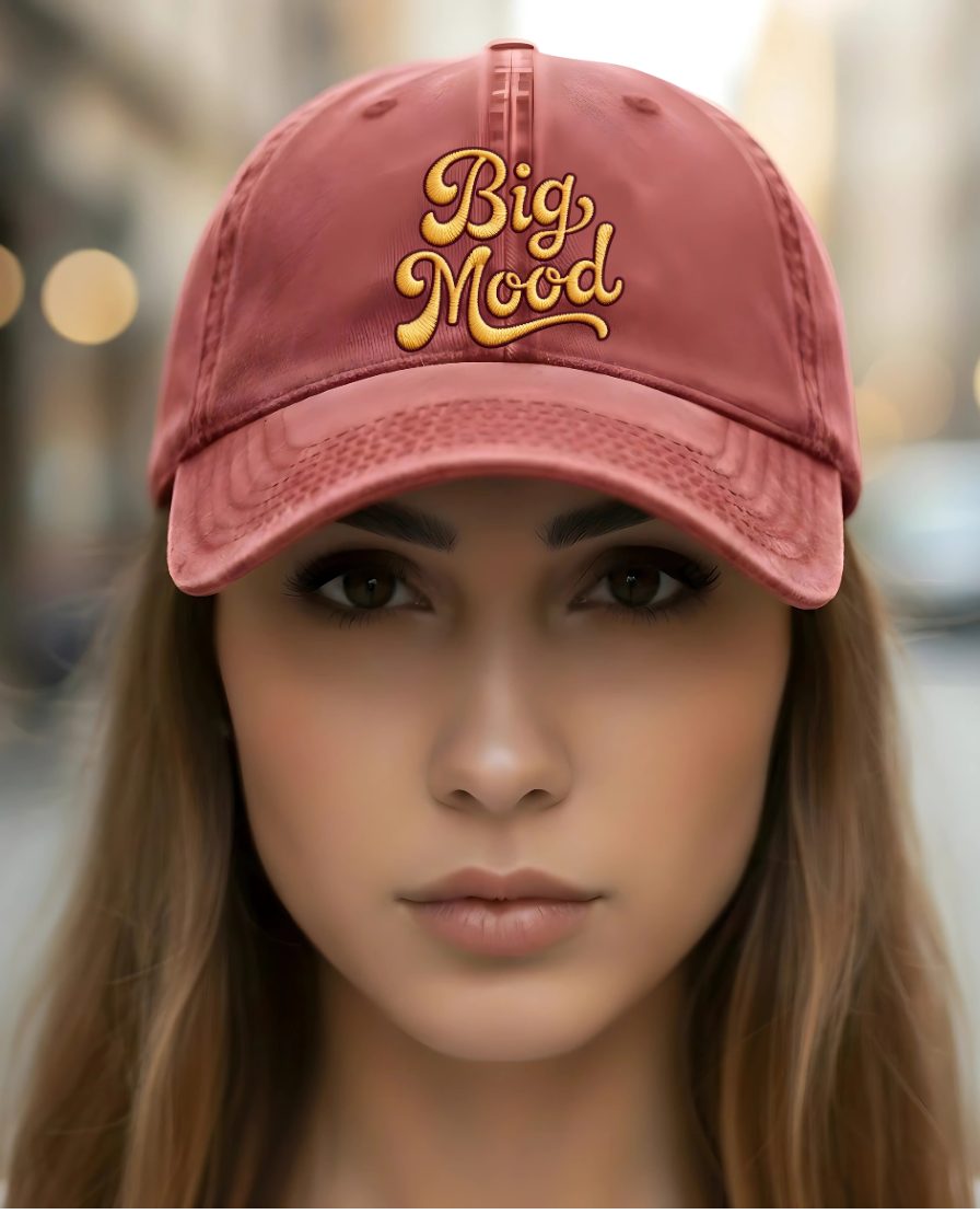 Embroidered Big Mood meme cap funny typography hat