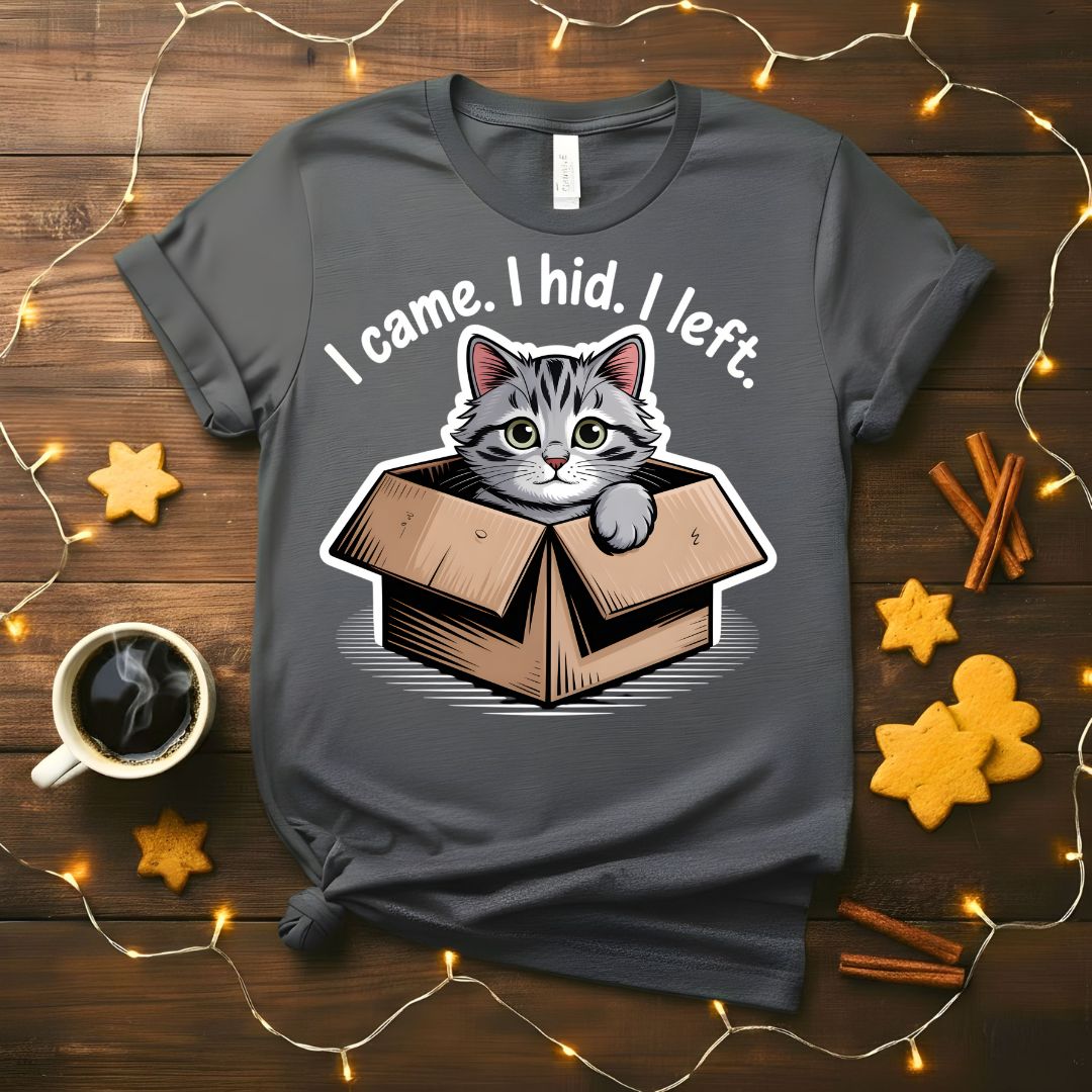 I Came I Hid I Left Funny Introvert T-Shirt