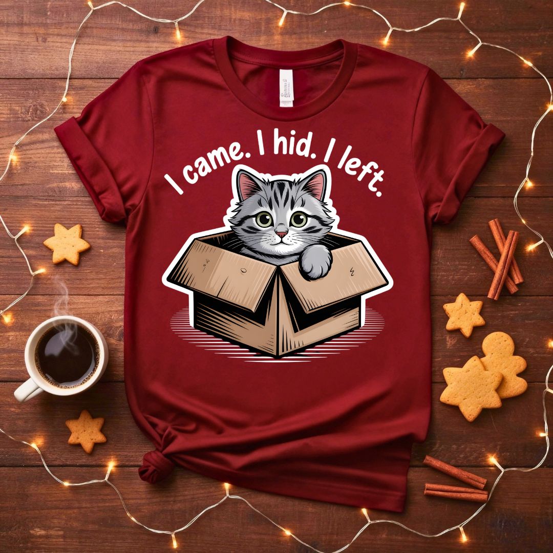 I Came I Hid I Left Funny Introvert T-Shirt