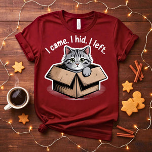 I Came I Hid I Left Funny Introvert T-Shirt