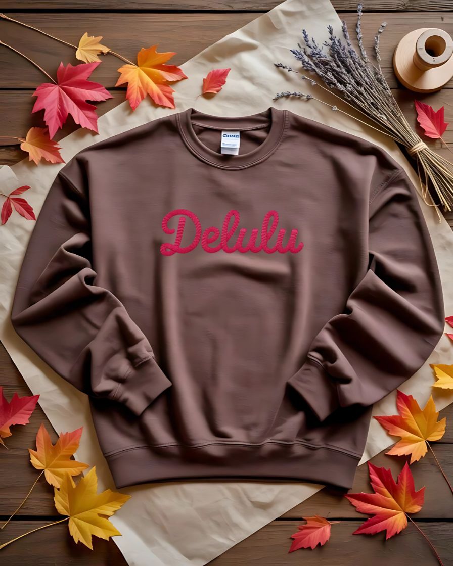Funny Delulu internet slang sweatshirt