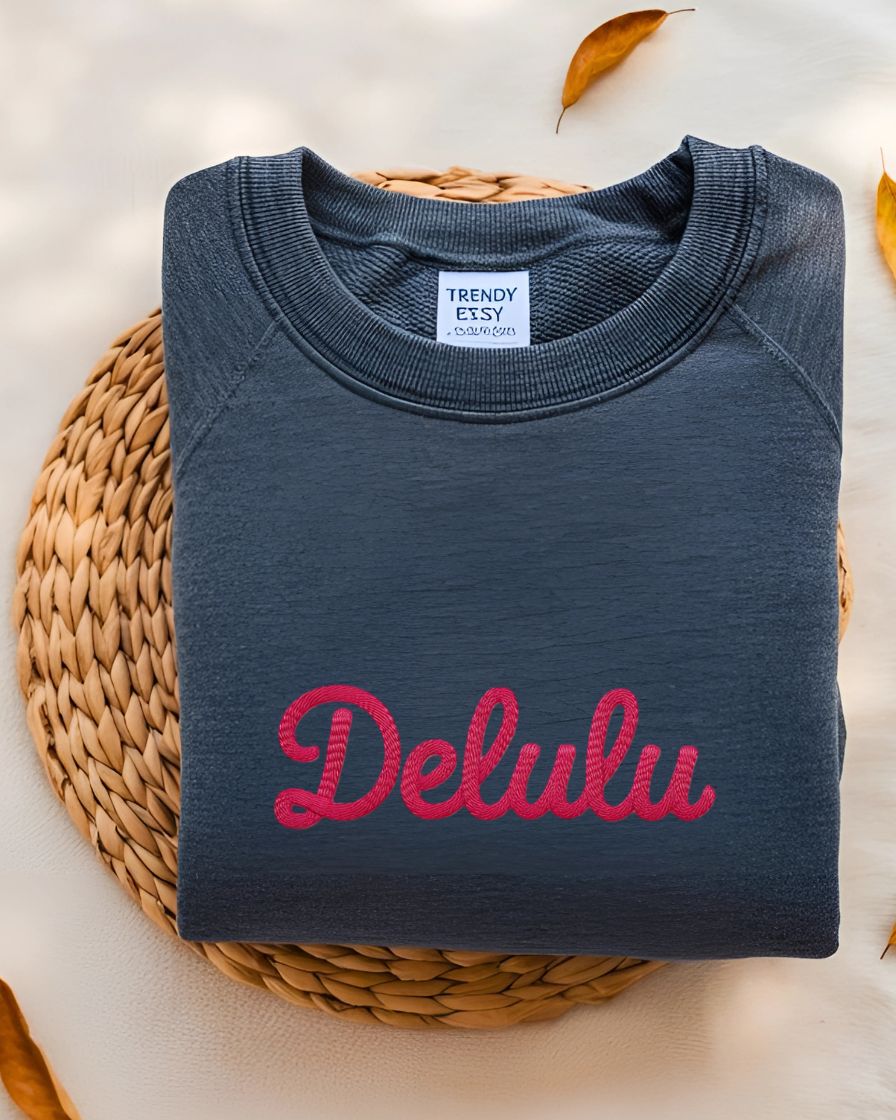 Funny Delulu internet slang sweatshirt